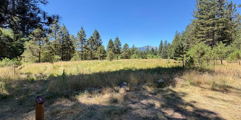 Camper submitted image from Meadow Camp Campground — Plumas National Forest
