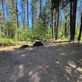 Review photo of Meadow Camp Campground — Plumas National Forest by Patricia N., July 16, 2026