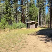 Review photo of Meadow Camp Campground — Plumas National Forest by Patricia N., July 16, 2026