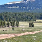 Review photo of Meadow Camp on Forest Road 231 by Kirsten L., June 3, 2026