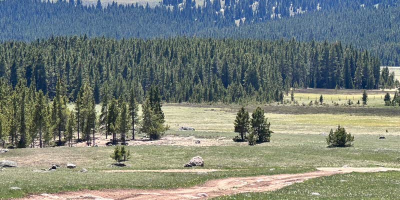Camper submitted image from Meadow Camp on Forest Road 231