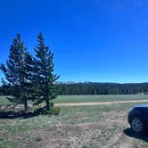 Review photo of Meadow Camp on Forest Road 231 by Kirsten L., June 3, 2026