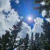 Review photo of Meadow Camp on Forest Road 231 by Leo  B., July 2, 2026