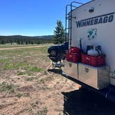 Review photo of Meadow Camp on Forest Road 231 by Kirsten L., June 3, 2026