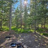 Review photo of Meadow Camp on Forest Road 231 by Leo  B., July 2, 2026