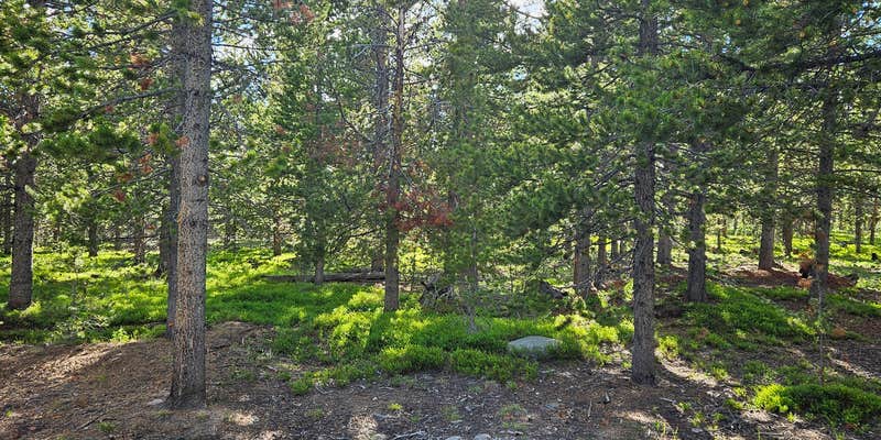 Camper submitted image from Meadow Camp on Forest Road 231