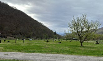 Camping near Grandview Sandbar Campground — New River Gorge National Park and Preserve: Meadow Creek Campground, Meadow Creek, West Virginia