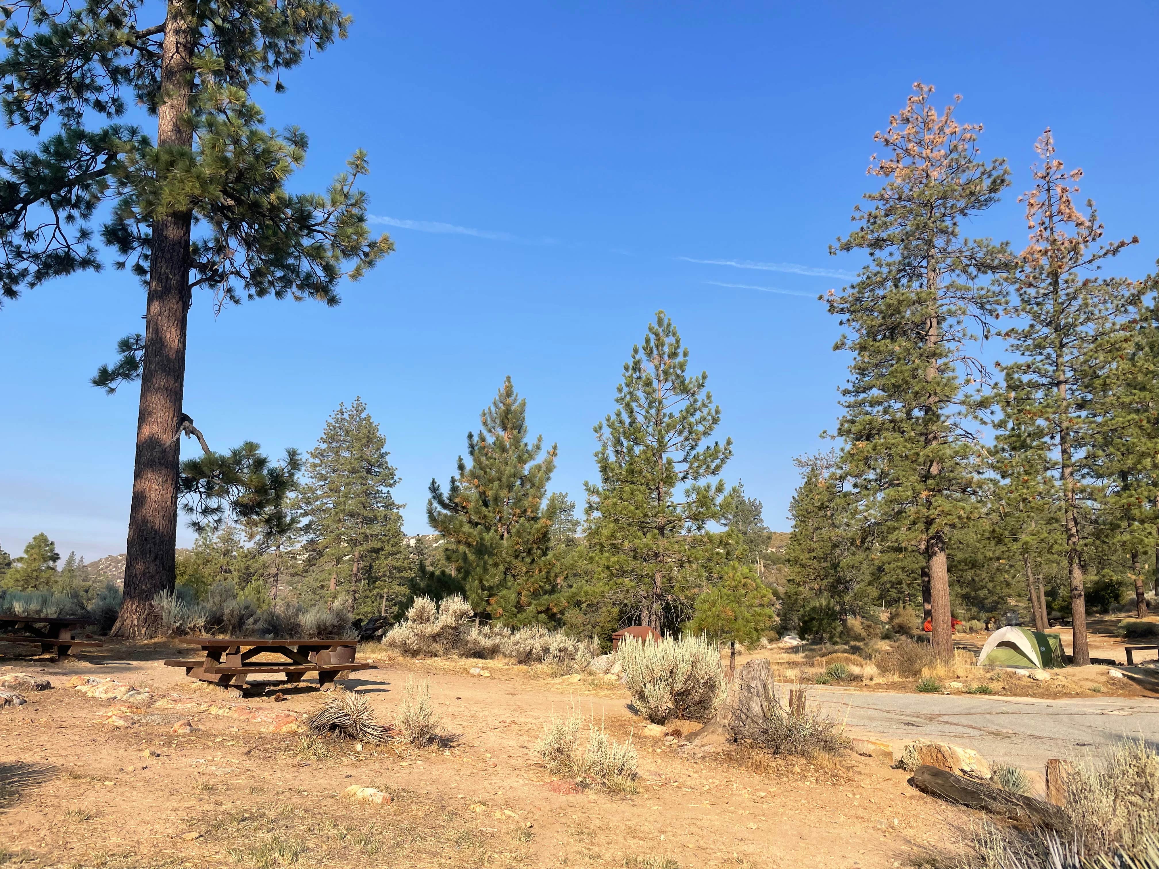 Les R.'s photo at Angeles National Forest Meadow Group Campground near Juniper Hills, CA