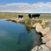 Review photo of Meadow Hot Springs by salvadora D., June 30, 2026