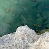 Review photo of Meadow Hot Springs by salvadora D., June 30, 2026