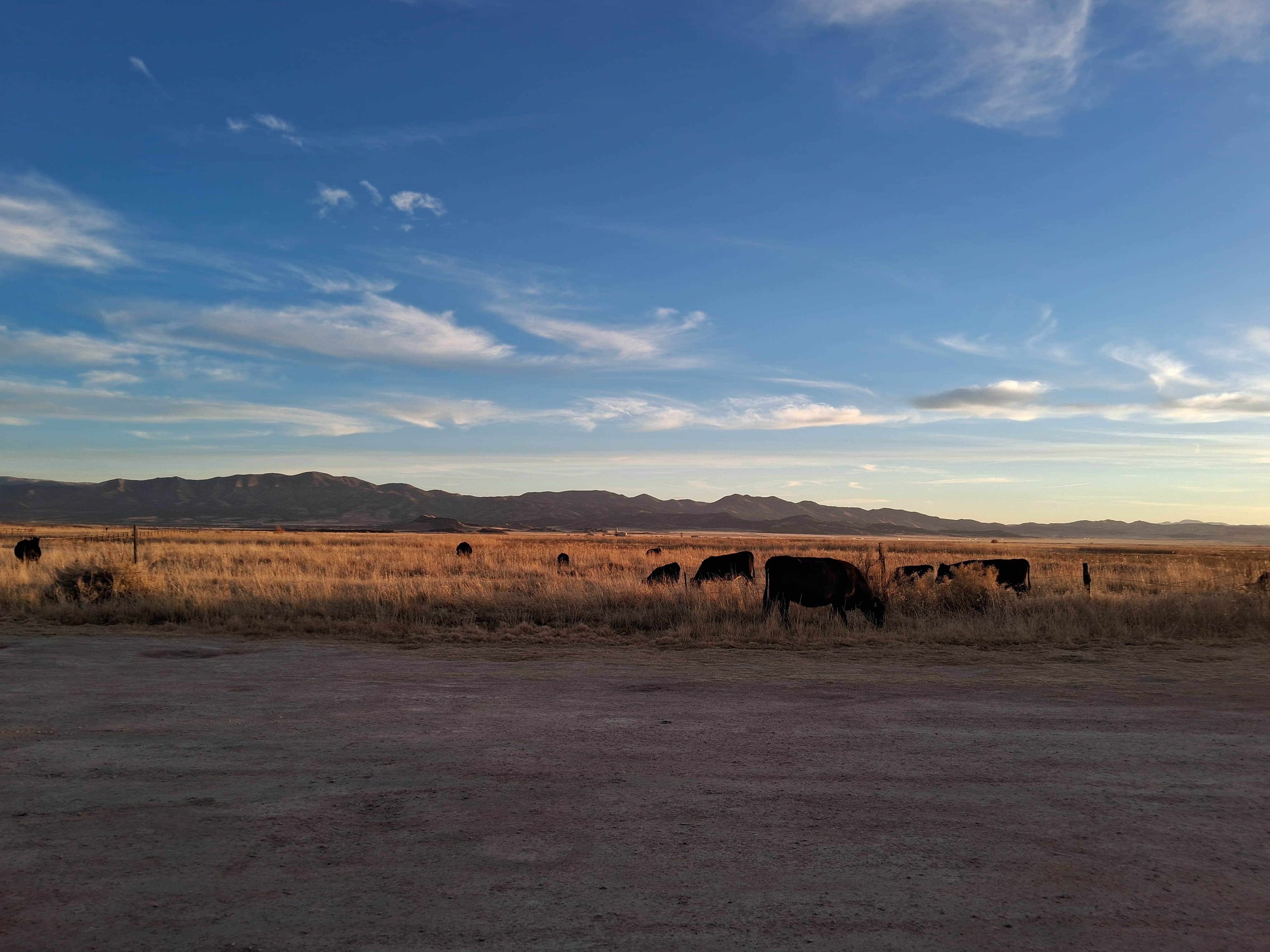 Camper-submitted photo at Meadow Hot Springs near Sigurd, UT