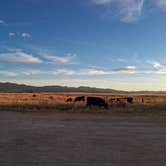 Review photo of Meadow Hot Springs by Maggy P., November 9, 2025