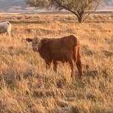 Review photo of Meadow Hot Springs by elizabeth P., November 5, 2025