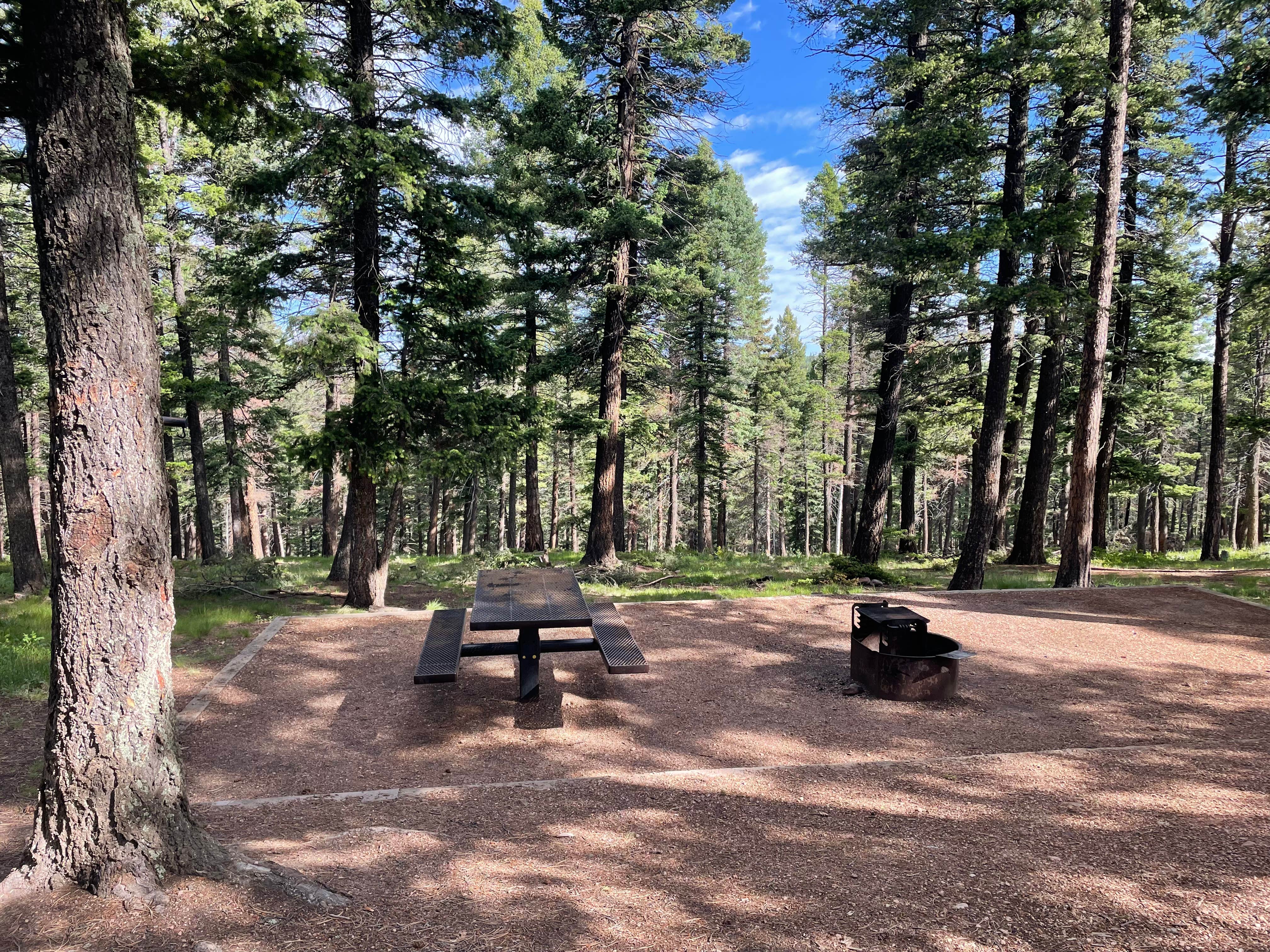 Camper submitted image from Meadow Ridge Campground - 2