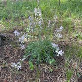 Review photo of Meadow Ridge Campground by Jill C., September 14, 2025