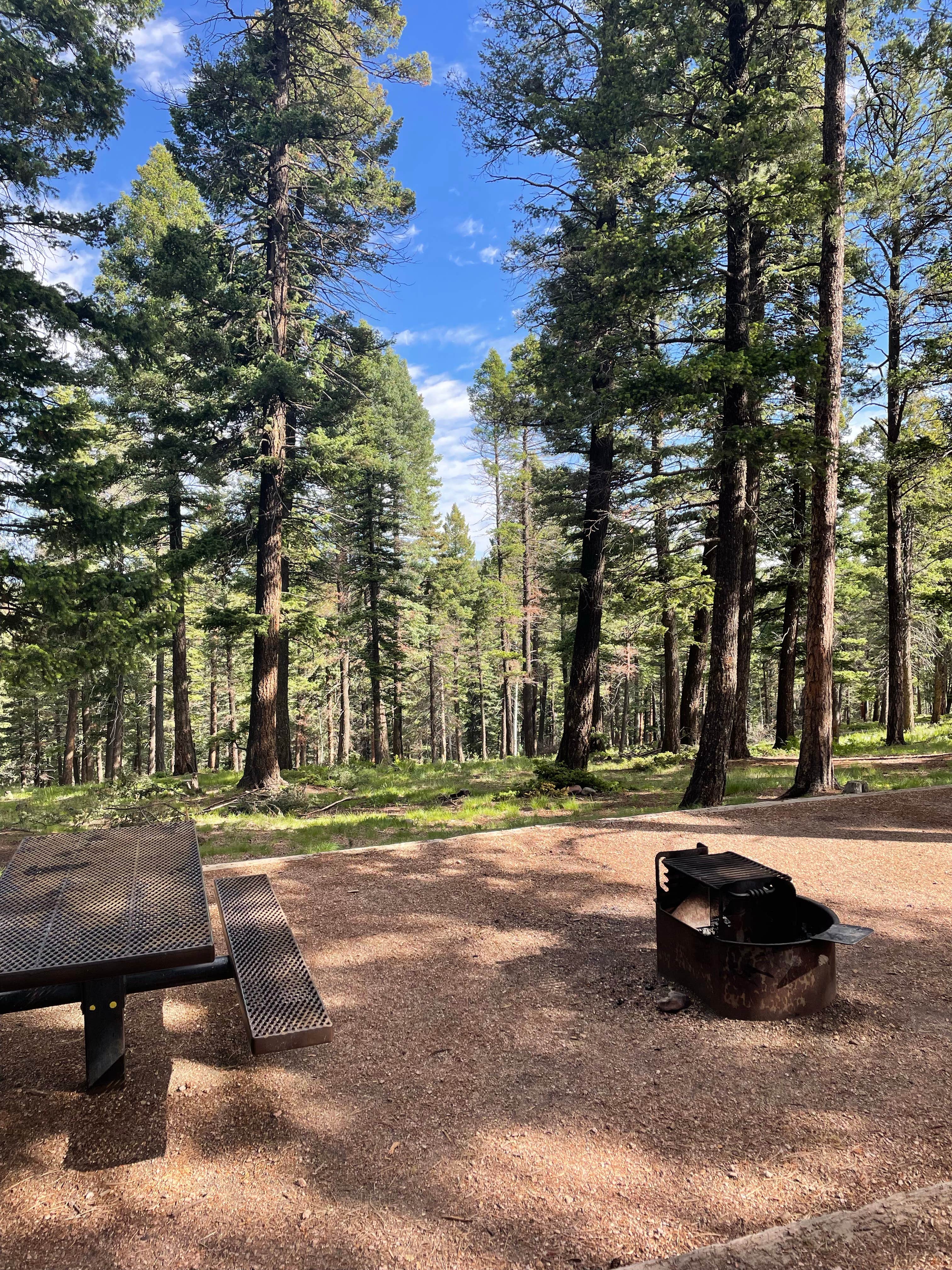 Camper submitted image from Meadow Ridge Campground - 3