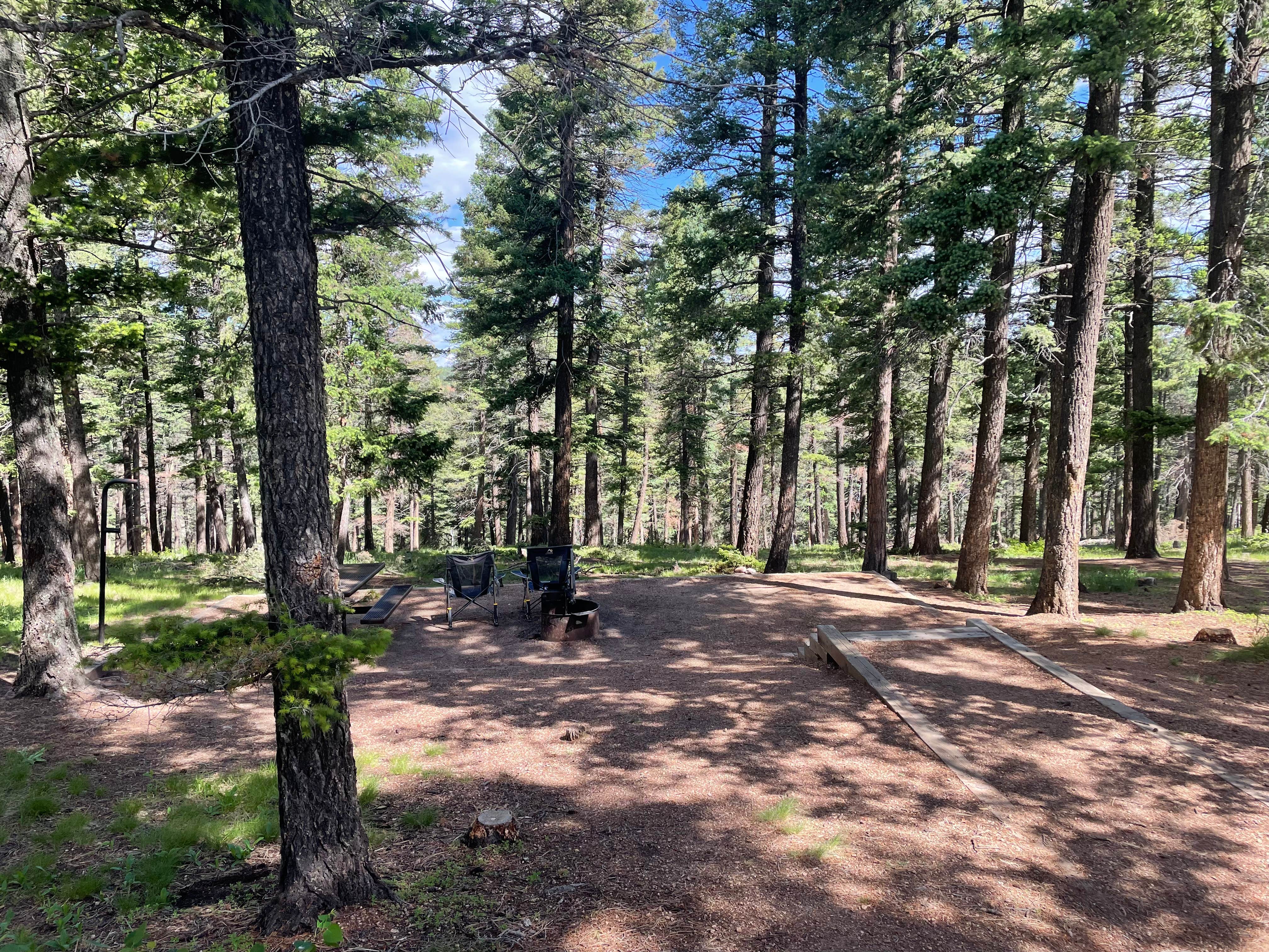 Camper submitted image from Meadow Ridge Campground - 5