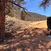Review photo of Meadows - Coral Pink Sand Dunes Dispersed by robert K., April 11, 2026