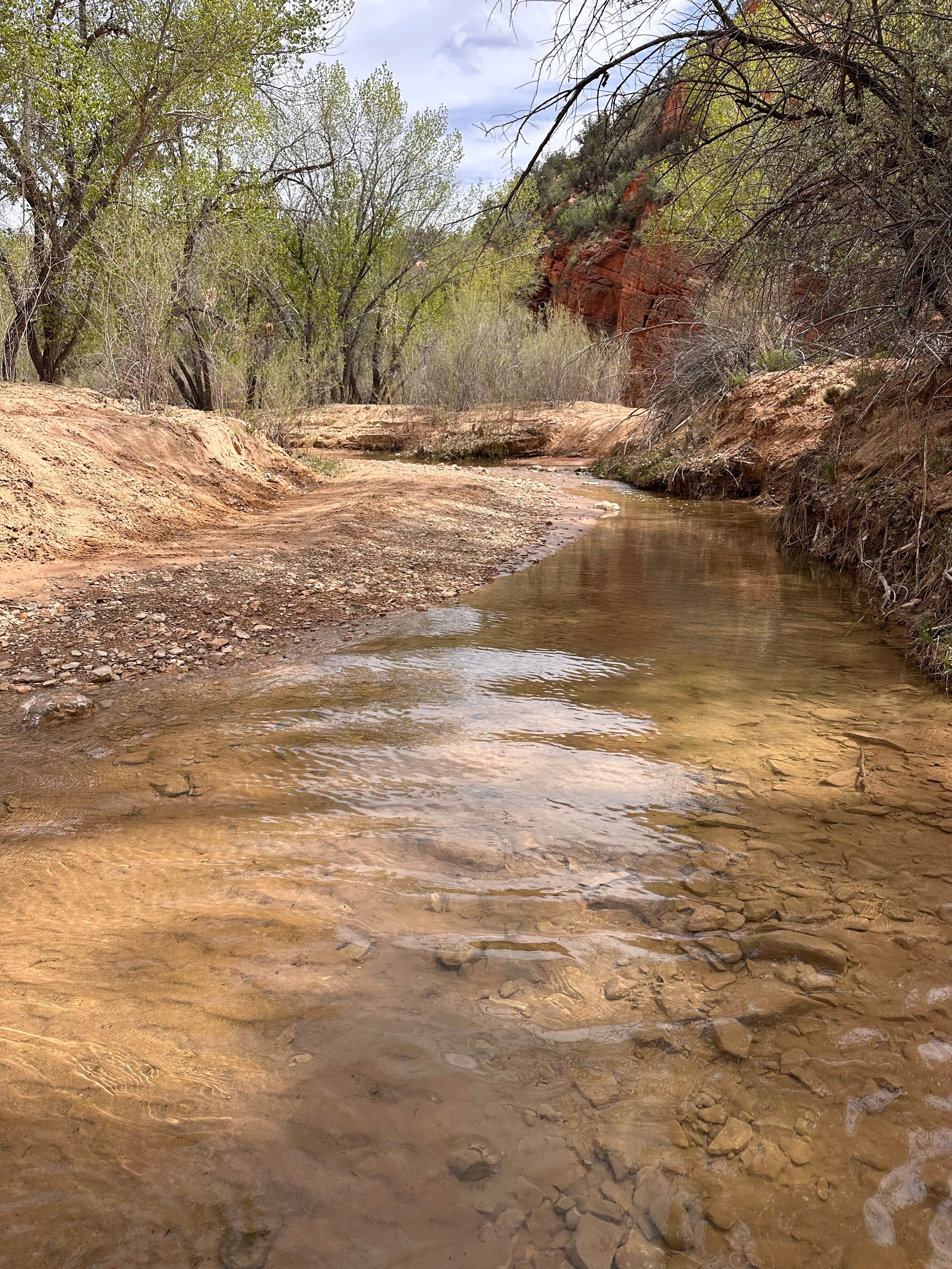 Camper-submitted photo at Meadows - Coral Pink Sand Dunes Dispersed near Kanab, UT