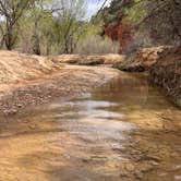 Review photo of Meadows - Coral Pink Sand Dunes Dispersed by robert K., April 11, 2026