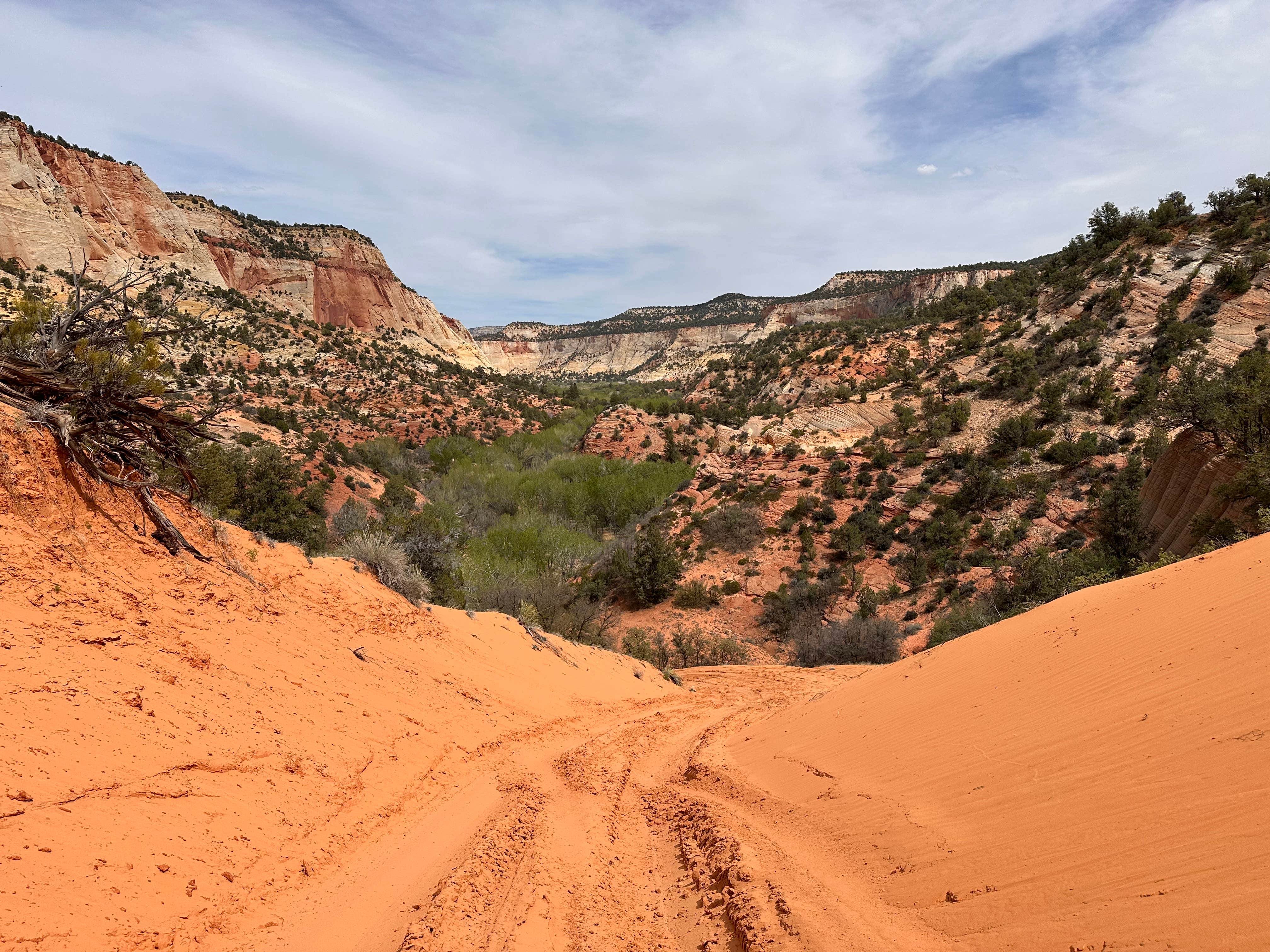 Camper-submitted photo at Meadows - Coral Pink Sand Dunes Dispersed near Kanab, UT
