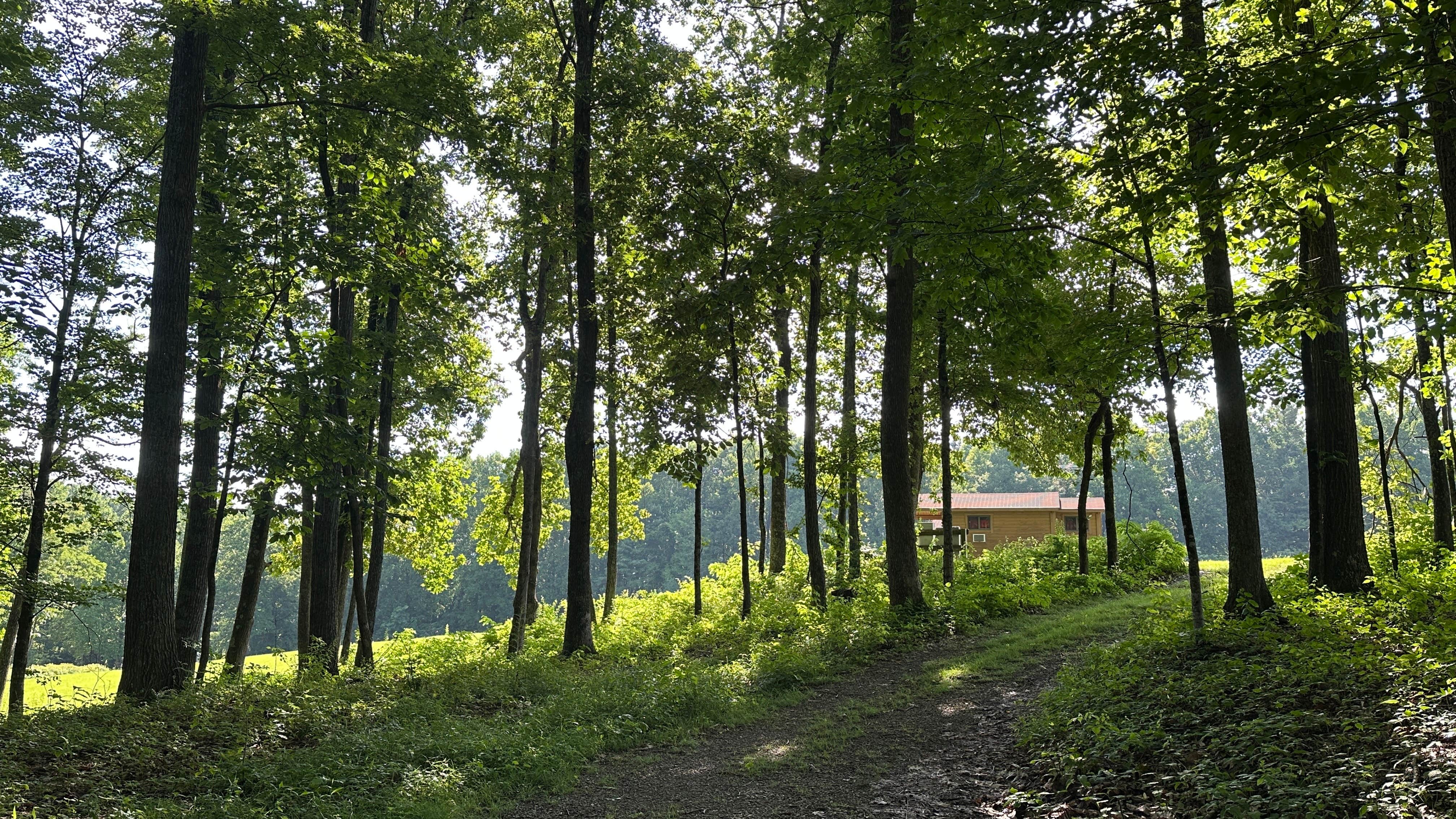 Camper-submitted photo at Meadows Of Dan Campground near Stuart, VA