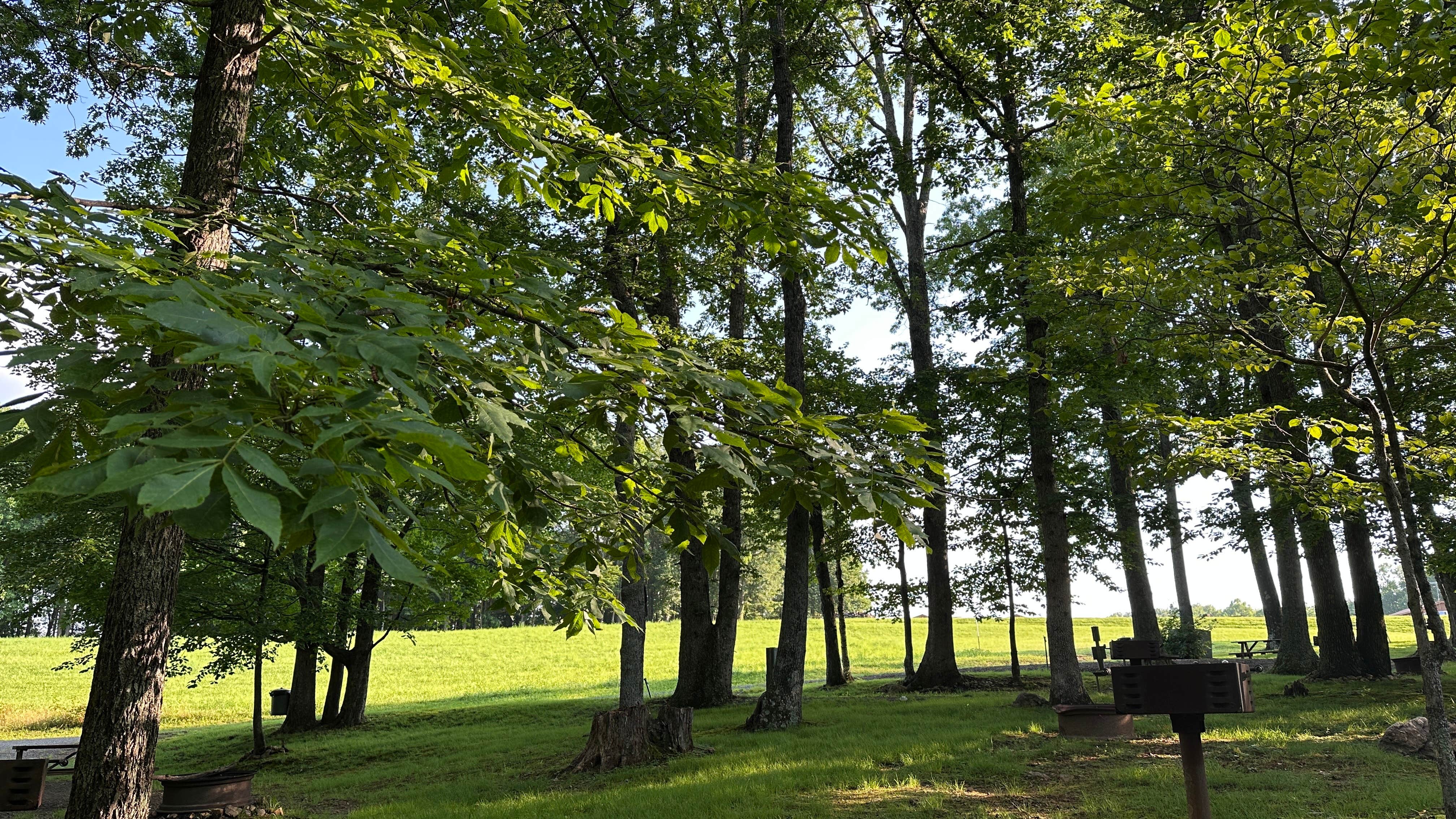 Camper submitted image from Meadows Of Dan Campground - 3