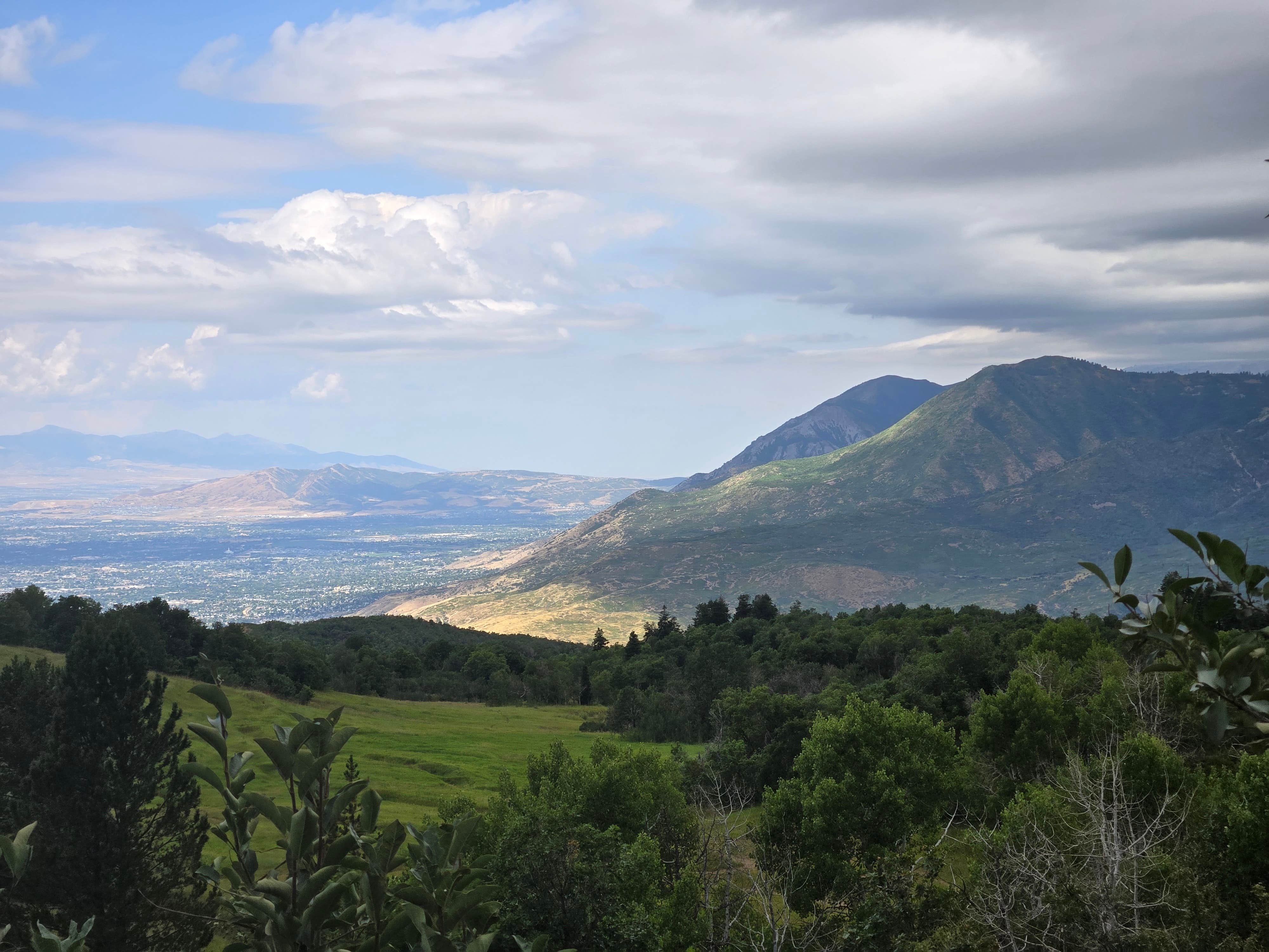 Camper-submitted photo at Squaw Peak Road Dispersed near Wallsburg, UT