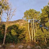 Review photo of Squaw Peak Road Dispersed by Thomas R., September 30, 2025