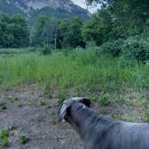 Review photo of Squaw Peak Road Dispersed by Jeff P., July 1, 2025