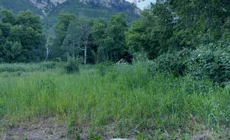 Jeff P.'s photo of camping with pets at Squaw Peak Road Dispersed near Santaquin, UT