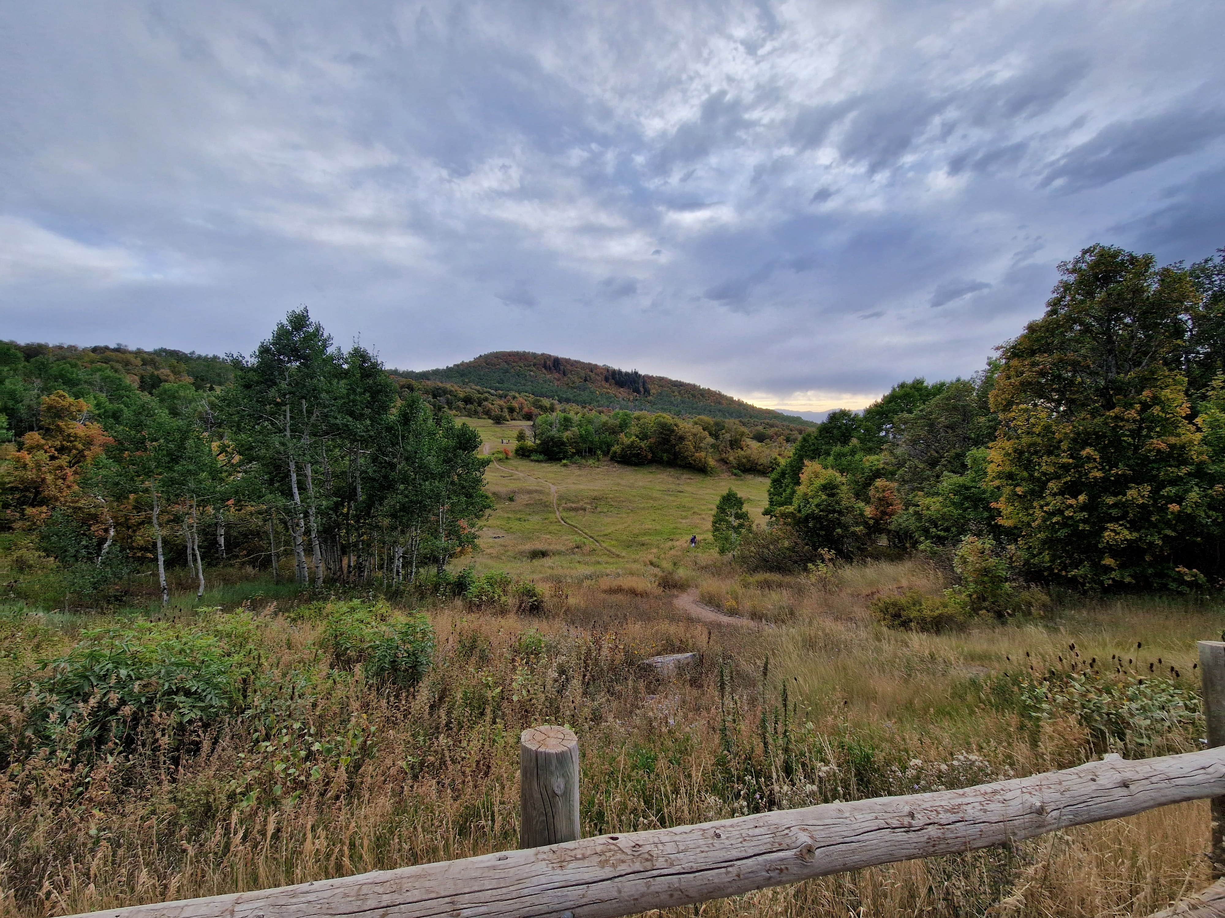 Camper-submitted photo at Squaw Peak Road Dispersed near Wallsburg, UT
