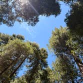 Review photo of Meadowview Campground by Delaney N., August 27, 2026
