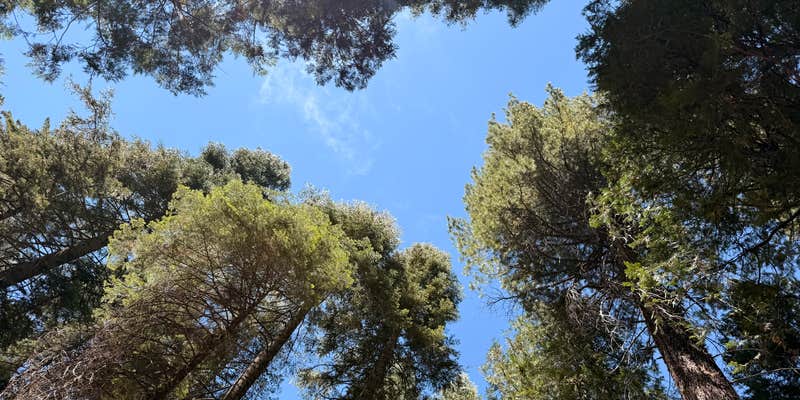 Camper submitted image from Meadowview Campground