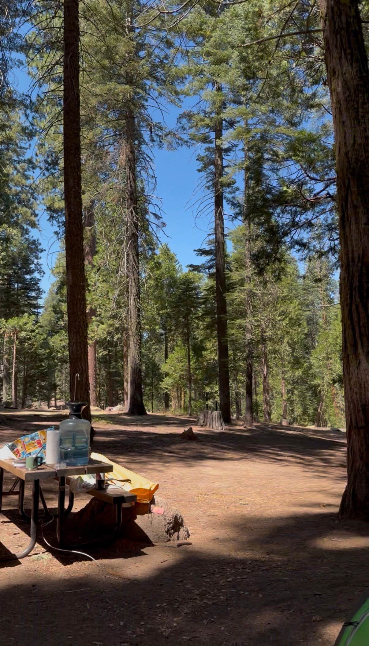 Camper-submitted photo at Meadowview Campground near Mi-Wuk Village, CA