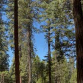 Review photo of Meadowview Campground by Delaney N., August 27, 2026