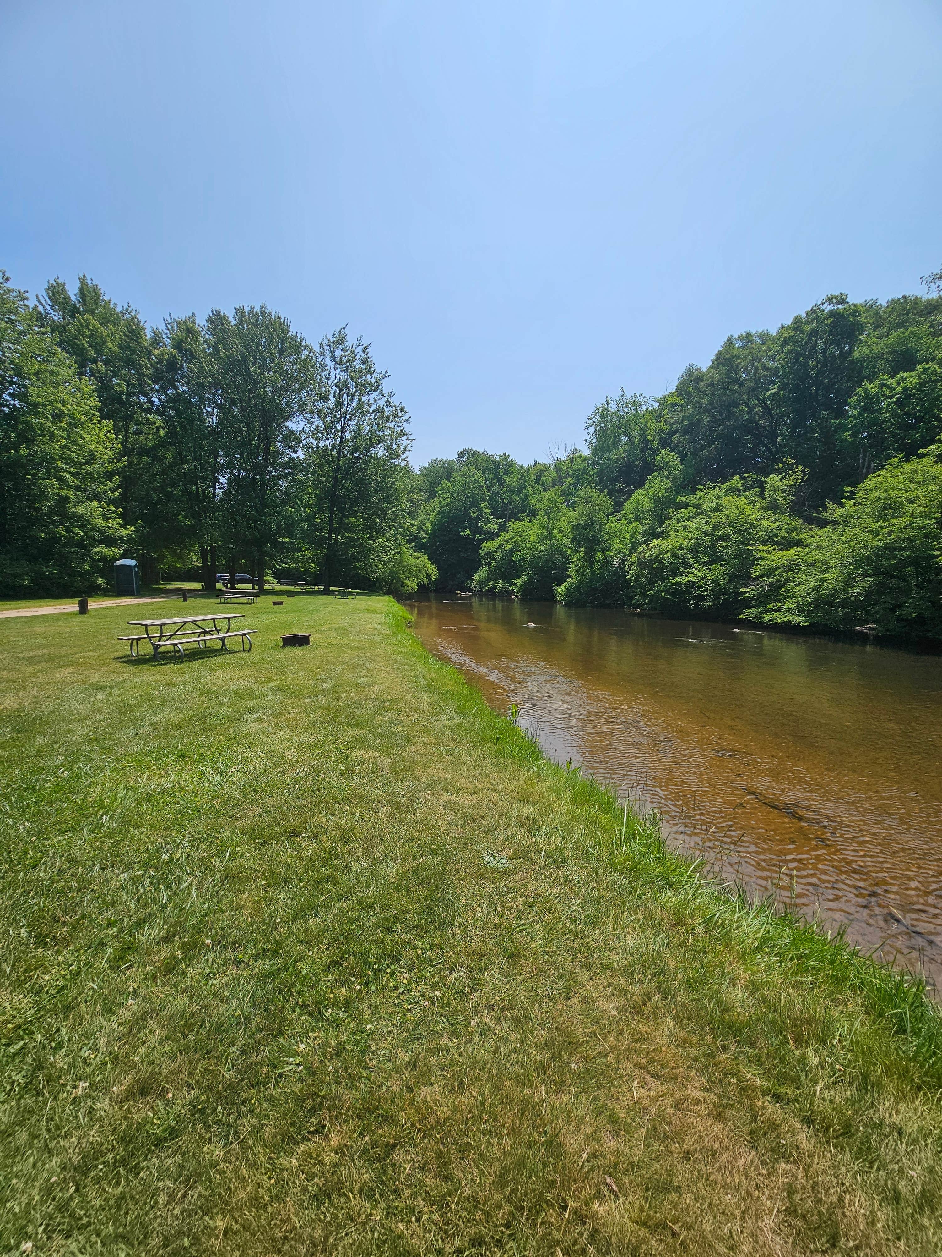Camper submitted image from Mecosta Pines Campground - 4