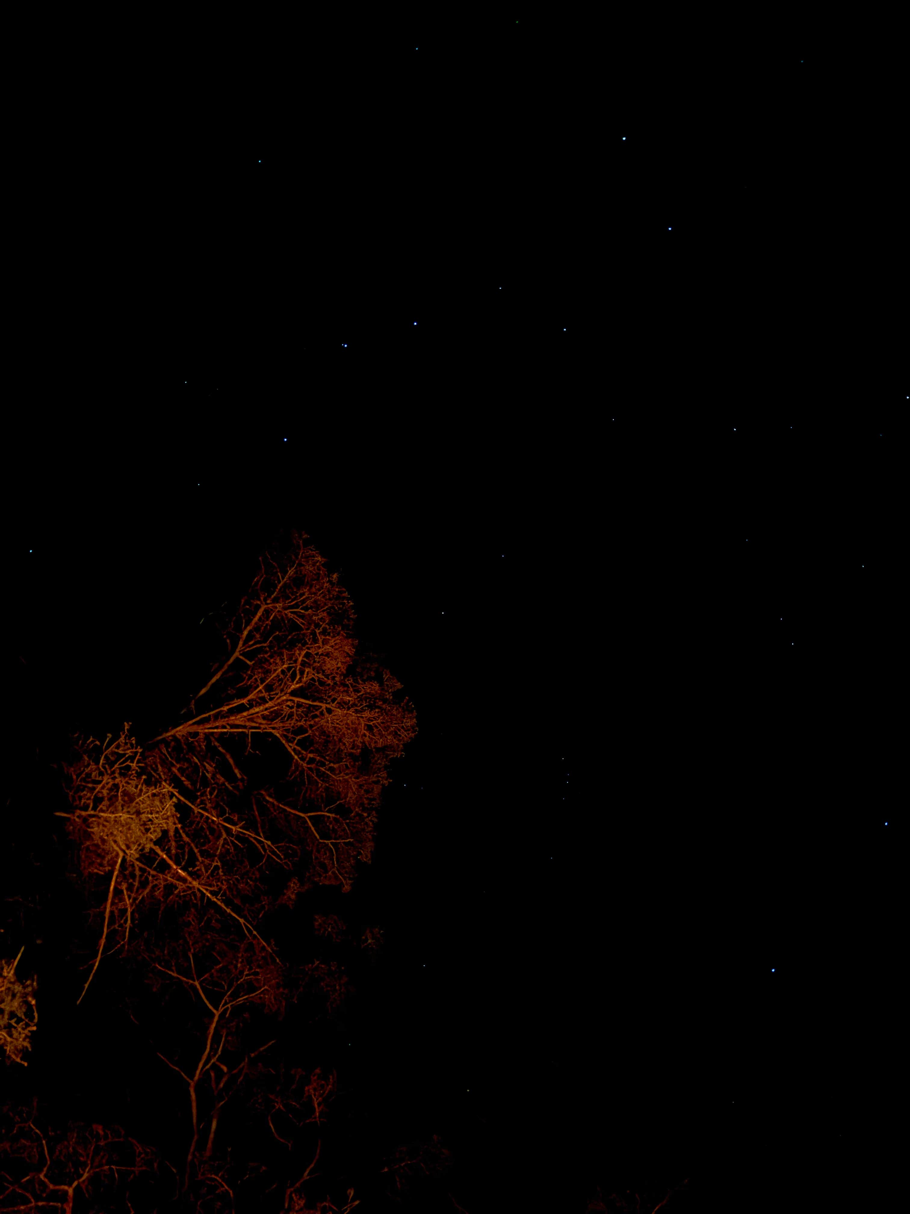 Camper-submitted photo at medano pass near Hasty, CO