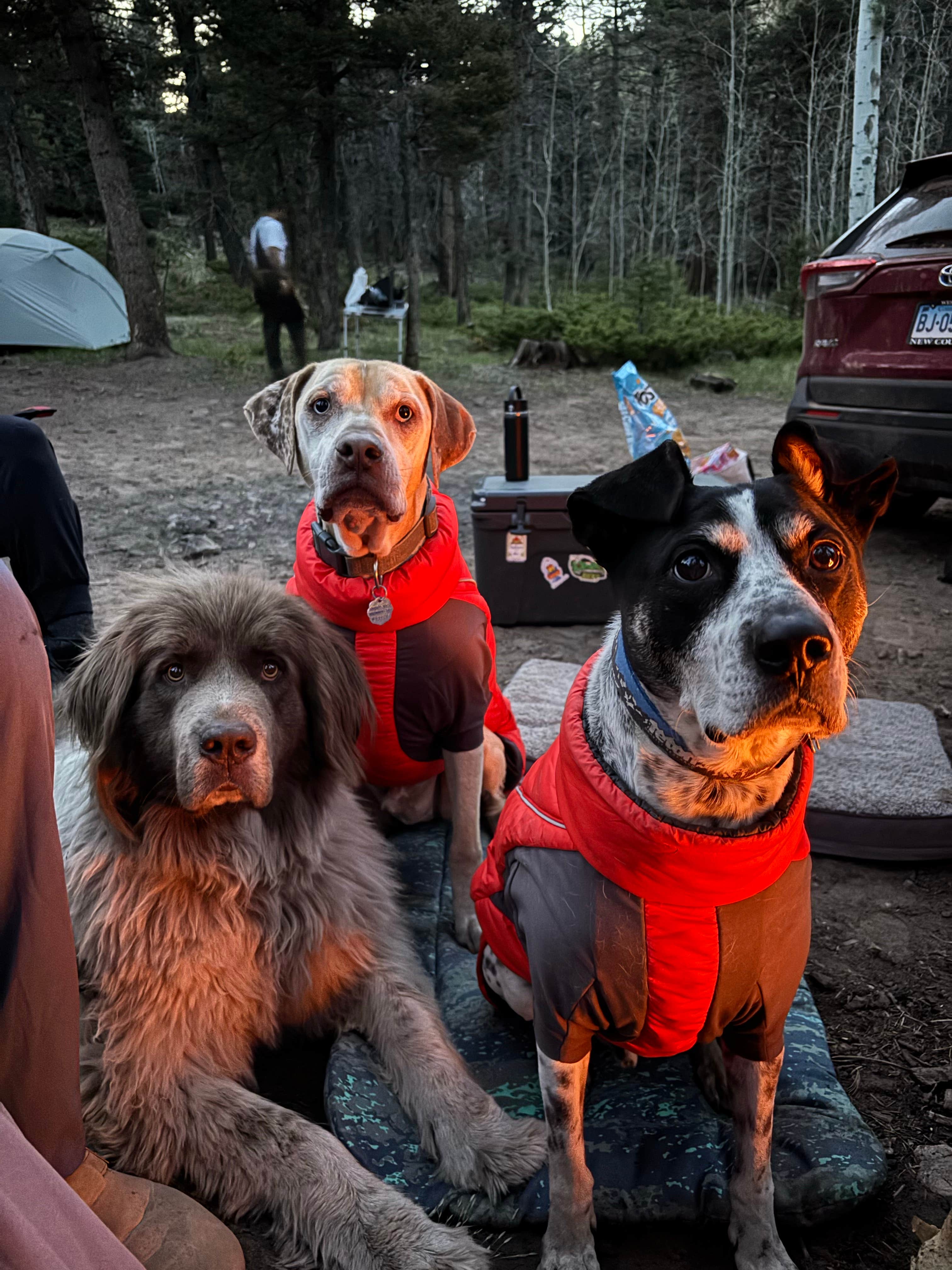 Camper submitted image from medano pass - 3