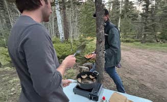 Nora S.'s photo at medano pass near Great Sand Dunes National Park & Preserve