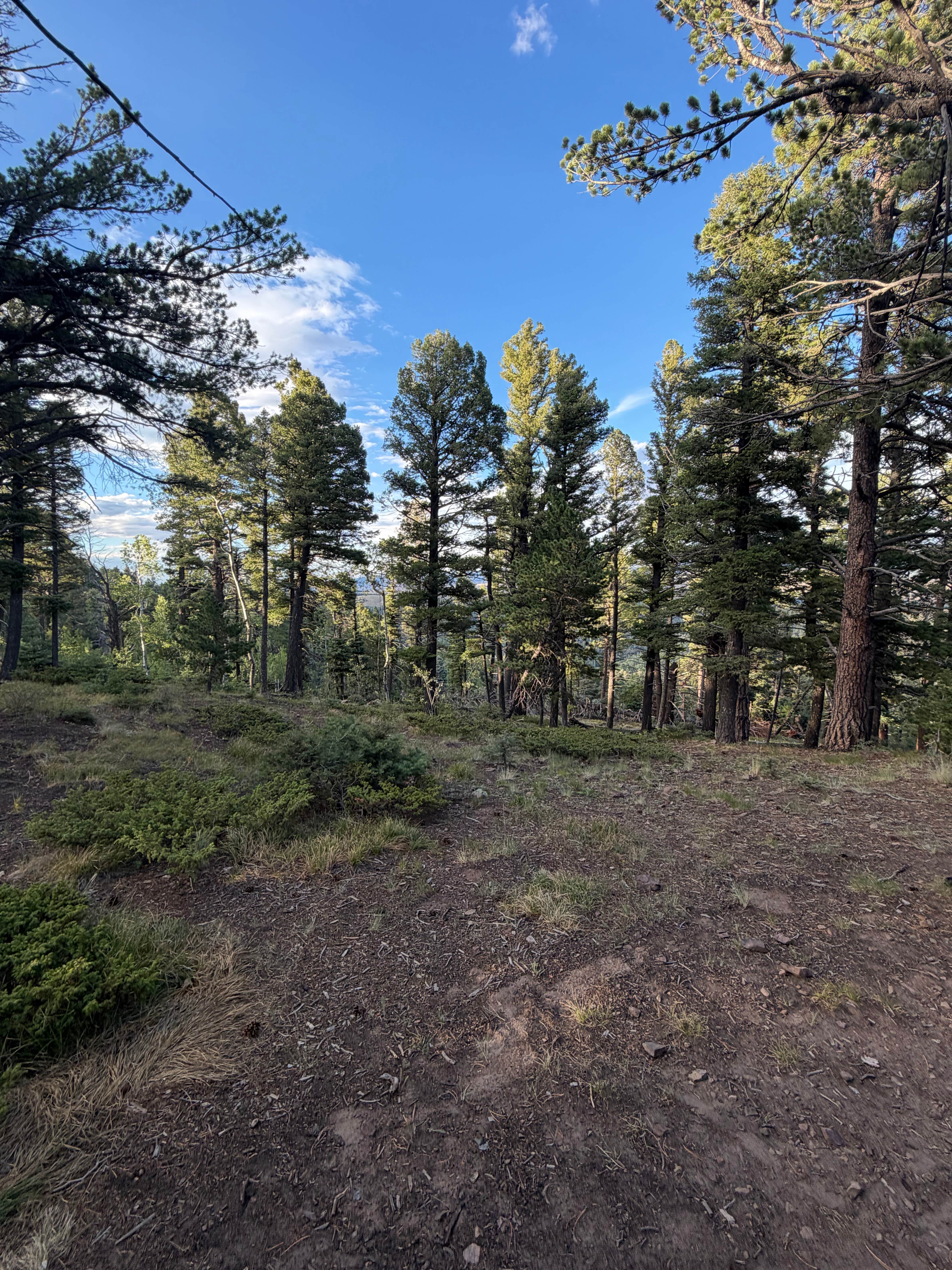 Camper-submitted photo at Medano Pass near Gardner, CO