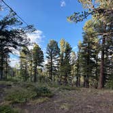 Review photo of Medano Pass by Denise N., August 16, 2026