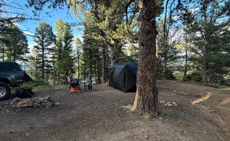Denise N.'s photo at Medano Pass near Crestone, CO