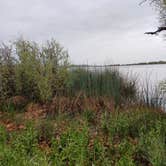 Review photo of Medeiros Primitive Campsites - San Luis Reservoir by Laura M., September 25, 2024