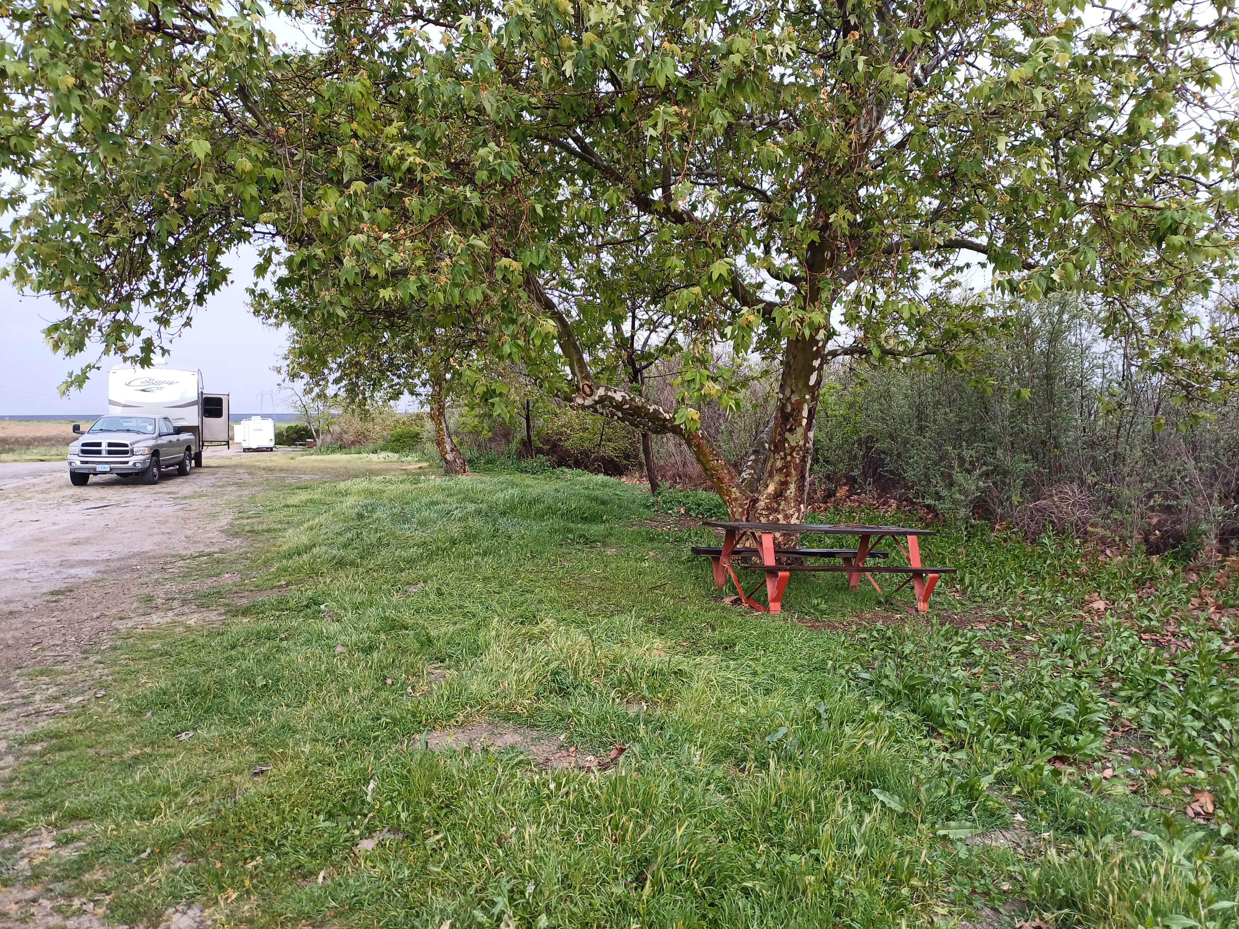 Camper-submitted photo at Medeiros Primitive Campsites — San Luis Reservoir State Recreation Area near Gustine, CA