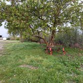 Review photo of Medeiros Primitive Campsites - San Luis Reservoir by Laura M., September 25, 2024