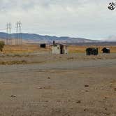 Review photo of Medeiros Primitive Campsites - San Luis Reservoir by Jess D., October 9, 2023