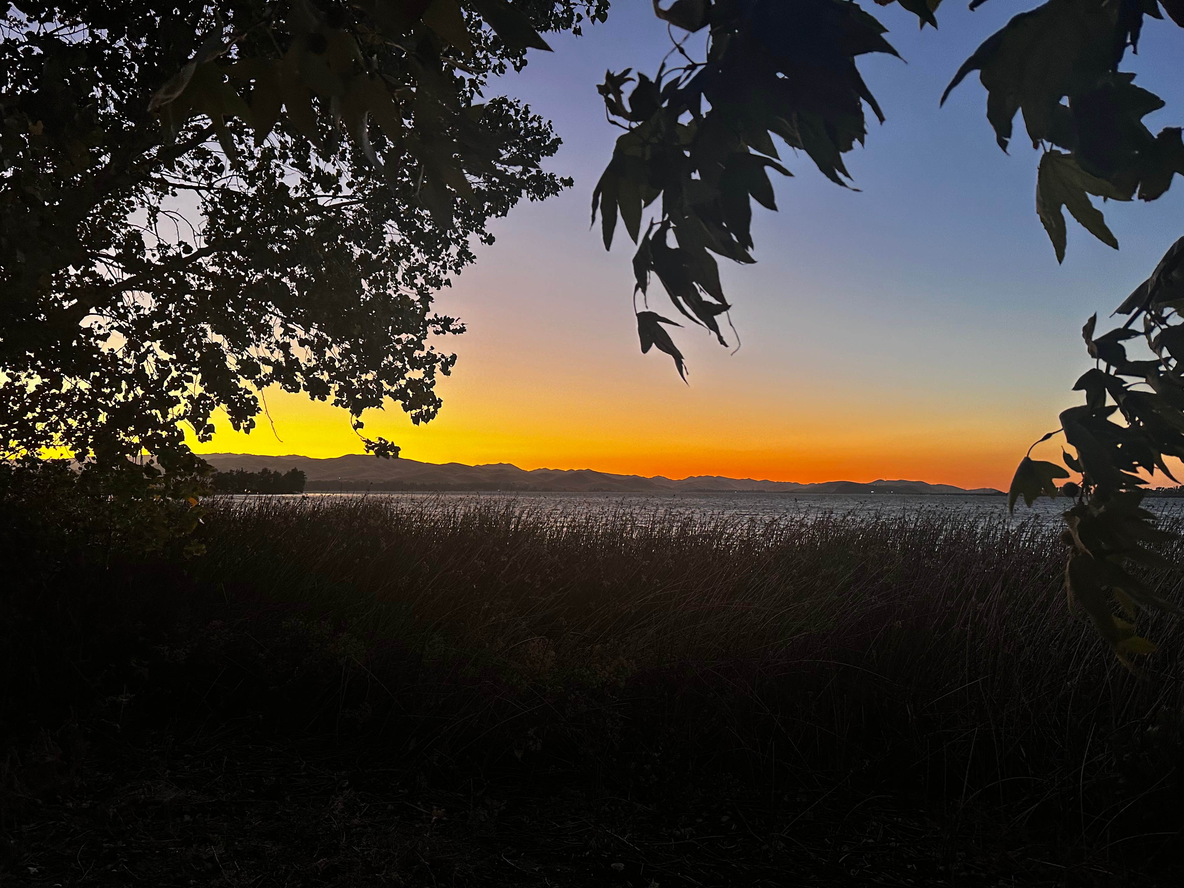 Camper-submitted photo at Medeiros Primitive Campsites — San Luis Reservoir State Recreation Area near Gustine, CA