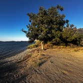 Review photo of Medeiros Primitive Campsites — San Luis Reservoir State Recreation Area by Erika V., August 2, 2025