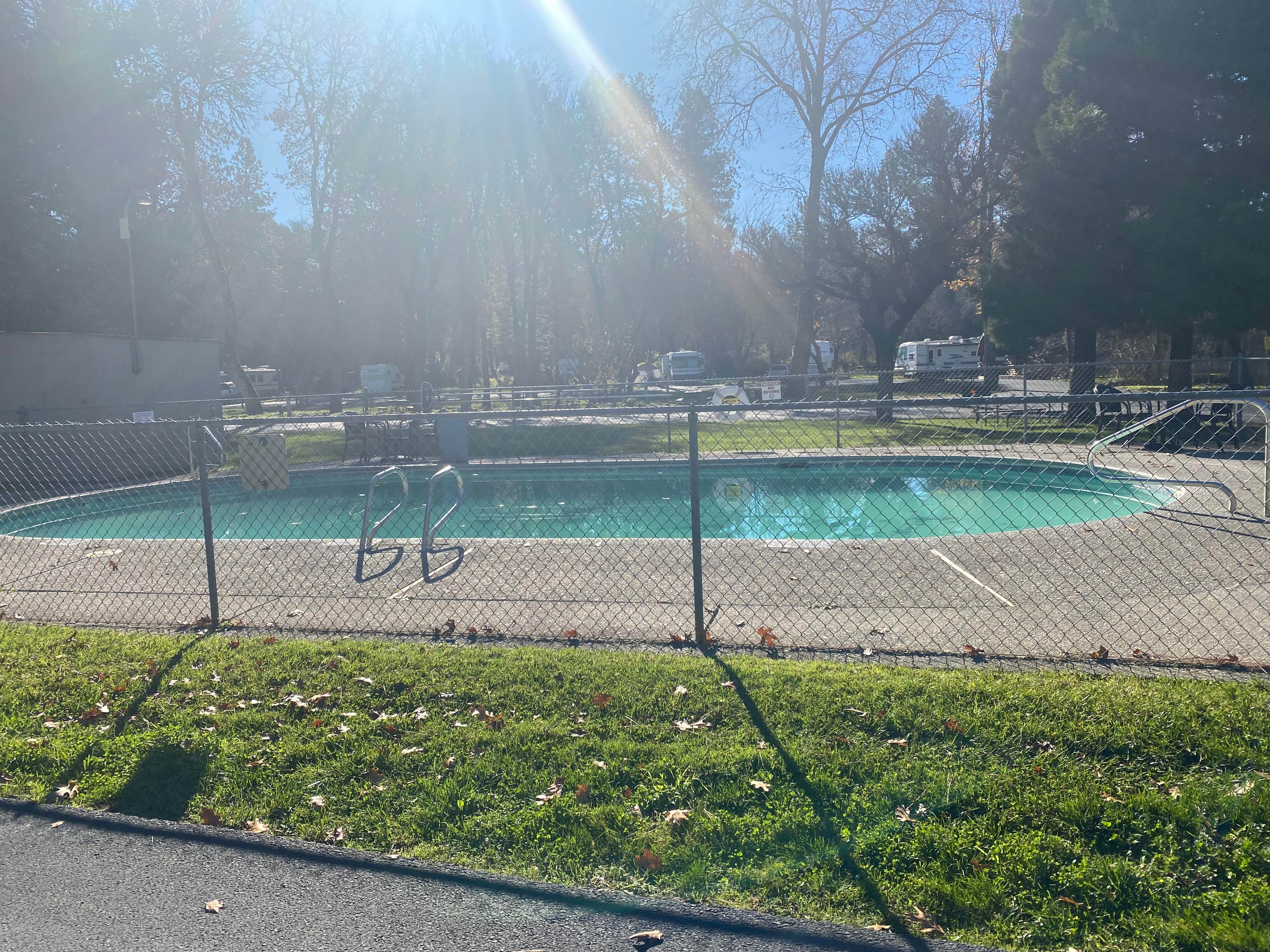 Camper submitted image from Medford-Gold Hill KOA - 2